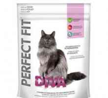 "Perfect Fit" hrana: opis i povratne informacije od veterinara