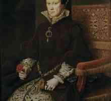 Engleska kraljica Maria Bloody: biografija, godina vladavine
