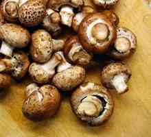 Kraljevske gljive: shish kebab, predjelo na francuskom