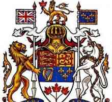 Kraljevski grb Velike Britanije. Povijest oružja Velike Britanije