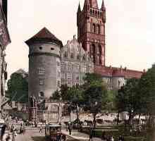 Kraljevski dvorac (Kaliningrad): povijest, opis