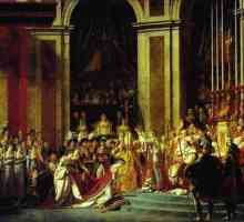 "Koronacija Napoleona": analiza slike Davida