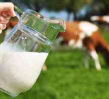 Kravlje mlijeko: sastav i svojstva. Sastojci kravljeg mlijeka - stol