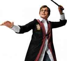 Kostim Harry Potter vlastite ruke: uzorak, fotografija