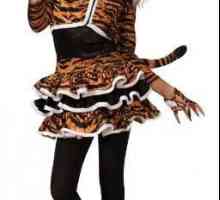 Mačka je kostim nepromjenjiv atribut mnogih festivala i kostimiranih izložbi