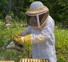Pčelarski kostimi: Glavne značajke