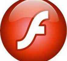 Adobe Flash Player: što učiniti?