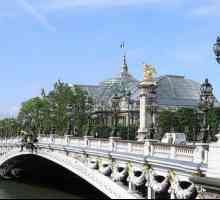 Najljepši spomenik arhitekture, nazvan u čast Aleksandra 3, most je u Parizu