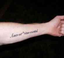Lijepa tetovaža s natpisom na ruci s prijevodom (muško i žensko)