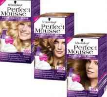 Mousse za kosu za kosu Schwarzkopf Perfect Mousse: paleta sjenila, pregleda i cijena