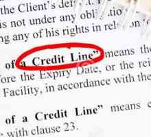 Кредитная линия - это... Виды и особенности кредитных линий