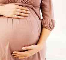 Krema za strijama tijekom trudnoće: recenzije. Ocjena kreme od strijama