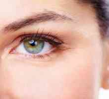Krema za brijanje očiju: recenzije, pregled, savjete o odabiru