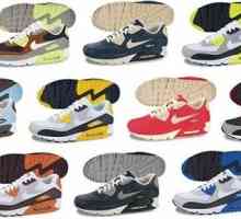 Nike Air Max tenisice - savršena obuća za sport