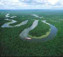 Крупнейшие реки Южной Америки