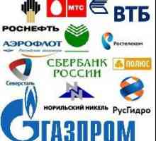 Velika poduzeća u Rusiji. Industrijska poduzeća u Rusiji
