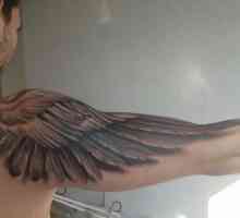 Krila na ruku: tetovaža koja će odgovarati svima