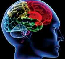 CT mozga: indikacije i kontraindikacije
