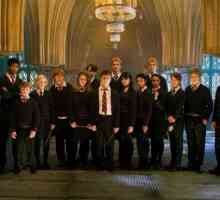 Tko je igrao manje znakove u filmu `Harry Potter i Red Phoenixa`? Glumci su ostali u sjeni