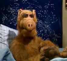 Tko je Alf? Glumac se skriva iza lutke. "Alf": glumci i uloge