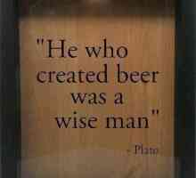 Tko je izumio pivo? Povijest izgleda pića