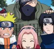 Tko je jači - Naruto ili Sasuke? Borite se protiv Naruto i Sasuke