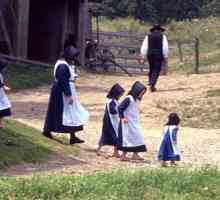 Tko su Amish? Pojavljivači nove rase iz prošlosti?
