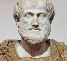 Tko je Aristotel? Ono što je poznato, biografija, doprinos znanosti