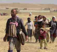 Tko je Yezidi? Etnička pripadnost: korijenje, vjera