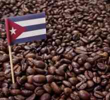 Kubanska kava: značajke, prednosti i popularne vrste