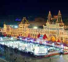 Gdje ići u Moskvu na novogodišnji odmor s djetetom?