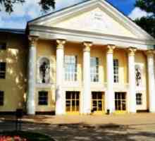 Kazalište lutaka (Lipetsk): povijest, repertoar, trupa