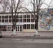 Kazalište lutaka, Rostov-na-Don: opis, glumci, repertoar i recenzije
