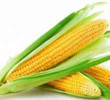 Kukuruzni brašno: korist i zla. Primjena kukuruznog brašna