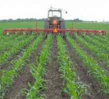 Uzgoj je glavni način uzgoja tla u poljoprivredi