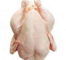 Piletina ohlađena - značajke, svojstva i recenzije