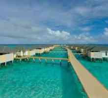 Amari Havodda Maldivi Resort - pregled, značajke i recenzije