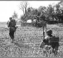 Kursk Bulge, 1943. Bitka Kursk Bulgea
