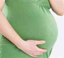 Kiseli kupus u trudnoći: što savjetuje liječnik?