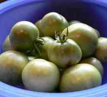 Kiselo zelene rajčice napunjene: receptom