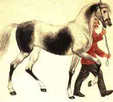 L. Tolstoj, `Stari konj`: kratak sažetak