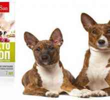 `Lakto-Stop` za pse: indikacije, upute za uporabu, recenzije
