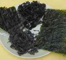 Sušena morska trava: primjena i recenzije. Osušena morska trava - morska trava