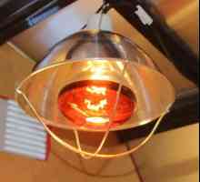 Svjetiljka za grijanje pilića. Oprema za broodera