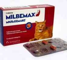 Liječenje helmintija: priprema "Milbemax" za mačke