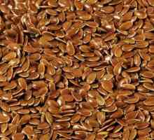 Liječenje lanenim sjemenkama: metode i svojstva