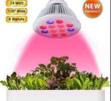LED svjetiljka za biljke: vrste, značajke. Kako napraviti phytolamp sa svojim vlastitim rukama