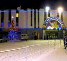 Ice Palace (Murmansk) - središte zabavnog i sportskog života grada