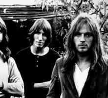 Legendarni britanski rock bend `Pink Floyd`: povijest i raspad