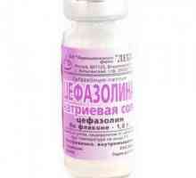 Lijek "Cefazolin". Upute za uporabu. Nyxes: značajke intramuskularne i intravenozne…